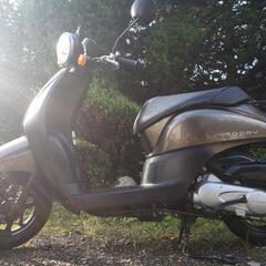 🛵原付HONDAトゥディー低燃費‼️大人気ブラウン‼️通勤通学配達‼️早い者勝ちバッテリー新品‼️即乗りの画像