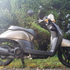 🛵原付HONDAトゥディー低燃費‼️大人気ブラウン‼️通勤通学配達‼️早い者勝ちバッテリー新品‼️即乗りの画像