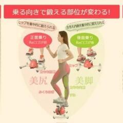ツイストステッパーの画像