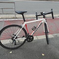 ロードバイク　 cannondale optimo キャノンデール　optimoの画像