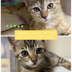 可愛い2兄妹