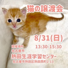 可愛い子ちゃんが勢揃い♪