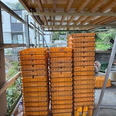 引き取り限定、農業用コンテナ　高知県土佐市の画像