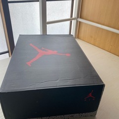 エアジョーダン レトロ 新古品の画像