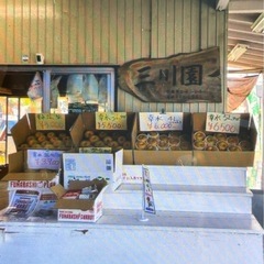 規格外梨！お安く販売しています - その他