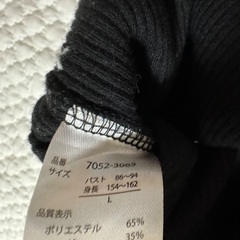 大人服 Lサイズの画像
