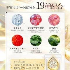 【新品】コラーゲン プラセンタ ヒアルロン酸 セラミド エラスチン アスタキサンチンの画像