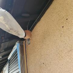 市川の塗装屋です！フットワークの軽い大工さん募集しております。の画像