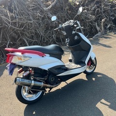 シグナス2型の画像