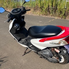 シグナス2型の画像