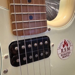 Bacchus / BST-3-RSM/M OWHの画像