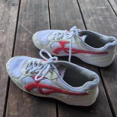 Mizuno 体育館シューズシューズ 26.0cm の画像