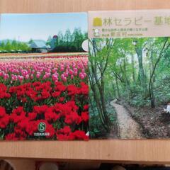 新品　クリアファイル　A4サイズ　9枚の画像