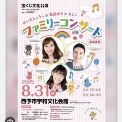 はいだしょうこ　ファミリーコンサートチケット　本日限定の画像