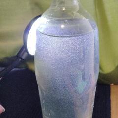 【濃厚1リットル】ゾウリムシの画像
