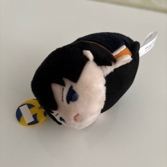 ハイキュー 影山 マスコットの画像