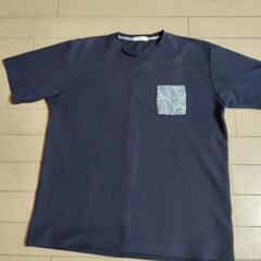 4LTシャツセットアップの画像