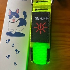 ペット　首輪の画像