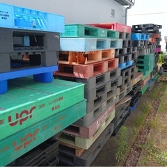 《秋田県取引》パレットの画像
