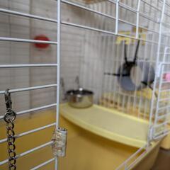 【自作】広いフェレットゲージ2階建の画像