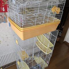 【自作】広いフェレットゲージ2階建の画像