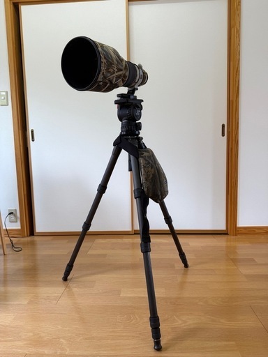 Canon EF400mm F2.8L IS II USM 最終値下