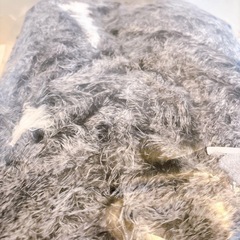 【新品未使用品】La nature et paix 【極上の寝心地】 猫 犬 ベッド ペットベッド 洗える ふかふか あったか 防寒 包み込まれる安心感 ドーナツ型 クッション (グラデーション) の画像