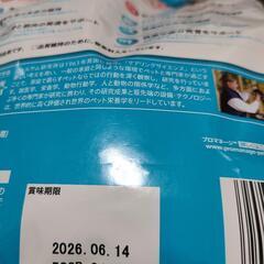子犬のドッグフードいろいろの画像