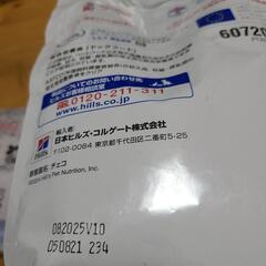 子犬のドッグフードいろいろの画像