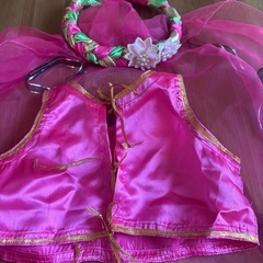 【❤️】ジャスミン風　ドレスの画像