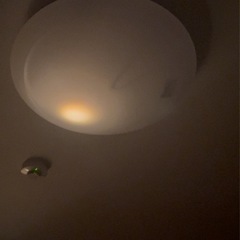 LEDシーリングライト (TOSHIBA NLEH06BK1B-DLD)の画像