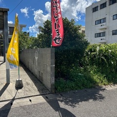 今日開いてます