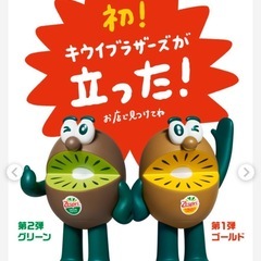 2025 キウイブラザーズ　ゴールドの画像