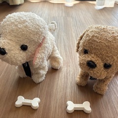 言葉がわかるペット！ココ　さかだちして！の画像