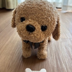 言葉がわかるペット！ココ　さかだちして！の画像