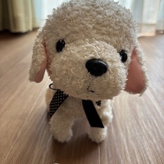 言葉がわかるペット！ココ　さかだちして！の画像