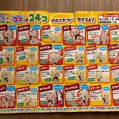 言葉がわかるペット！ココ　さかだちして！の画像