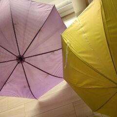 傘2本の画像
