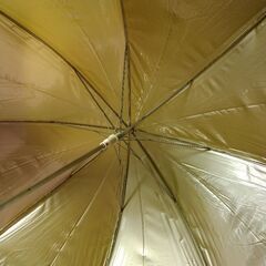 傘2本の画像