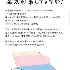 【美品】すのこロールの画像