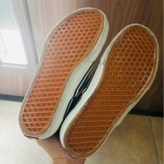 レディース　VANSの画像
