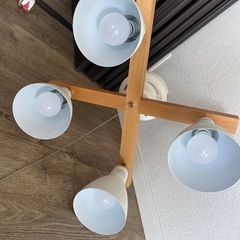 照明9月10日までの画像
