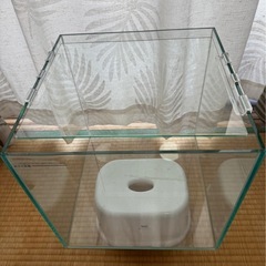 ガラスCUBE水槽の画像