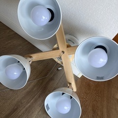 照明9月10日までの画像