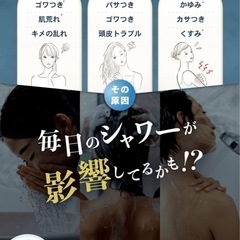 【新品未使用】① 【専門医監修】シャワーヘッド マイクロナノバブル 節水シャワーヘッド 塩素除去【業界トップモデルの潤いケア】肌ケア 美髪 塩素除去2本付き 最大60%の節水の画像