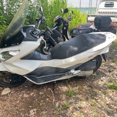 pcx56の画像