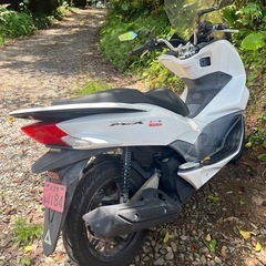 pcx56の画像