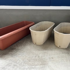 プランター1つ¥100の画像