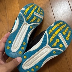 キッズシューズ　瞬足の画像