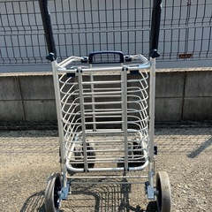 シルバーカー兼用キャリアカーの画像